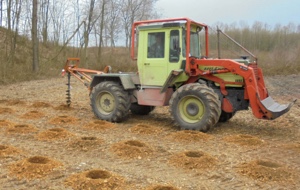 Ein Bagger gräbt Löcher auf einem Feld für die Baumplfanzung 